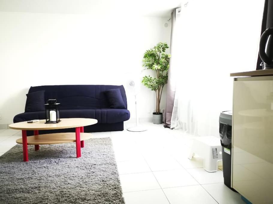 Apartament Studio De Charme A 30 Min De Paris, 5 Min D'Evry Ris-Orangis Zewnętrze zdjęcie