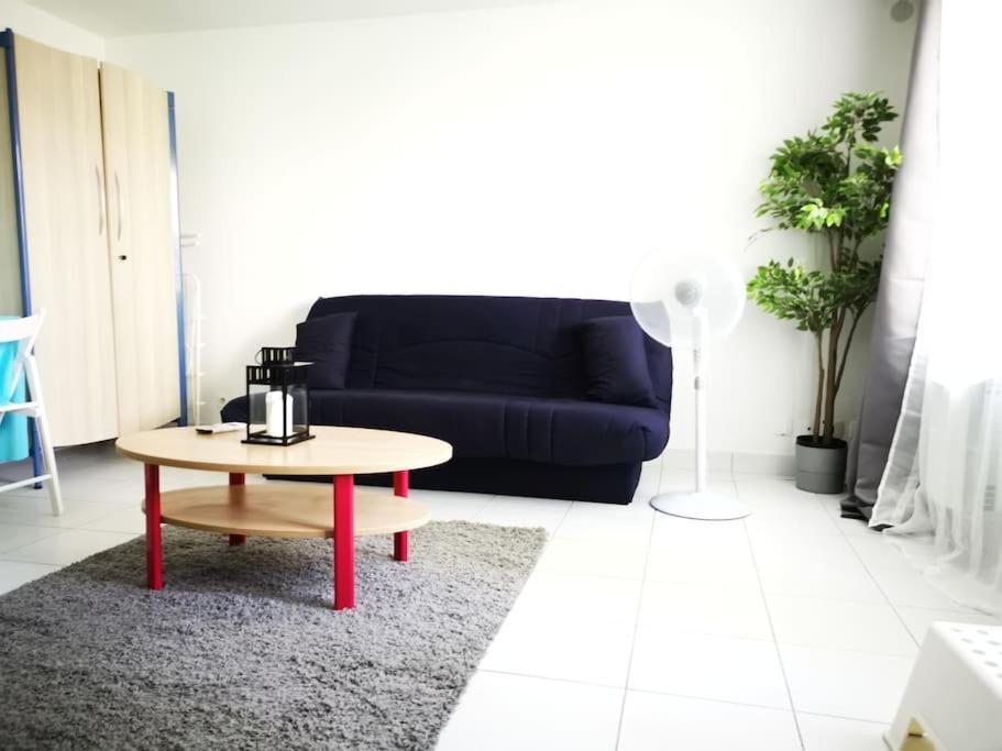 Apartament Studio De Charme A 30 Min De Paris, 5 Min D'Evry Ris-Orangis Zewnętrze zdjęcie